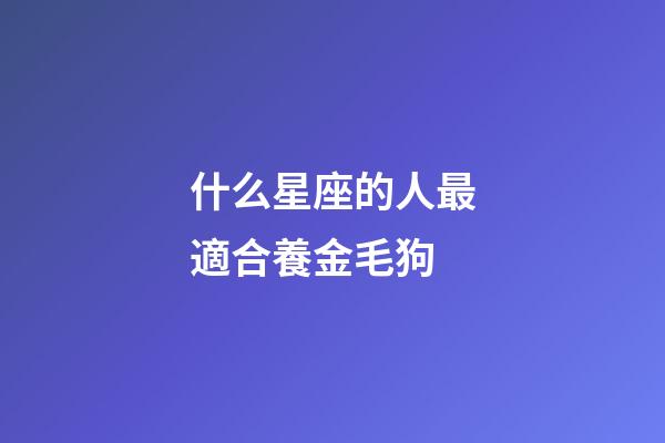 什么星座的人最適合養金毛狗-第1張-星座運勢-玄機派
