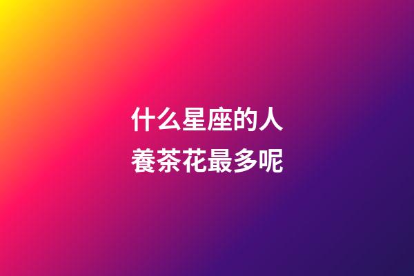 什么星座的人養茶花最多呢