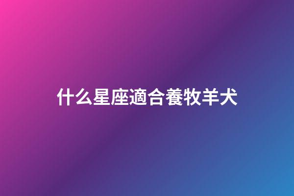 什么星座適合養牧羊犬-第1張-星座運勢-玄機派