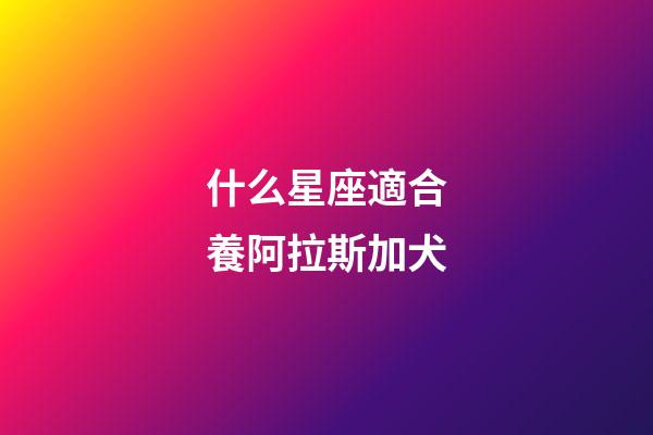 什么星座適合養阿拉斯加犬