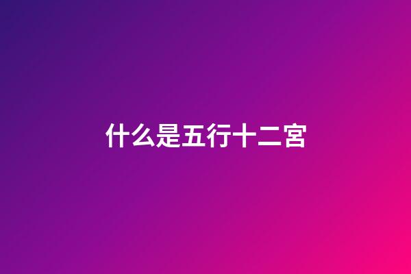 什么是五行十二宮