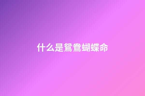 什么是鴛鴦蝴蝶命