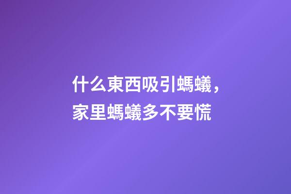 什么東西吸引螞蟻，家里螞蟻多不要慌-第1張-觀點-玄機派