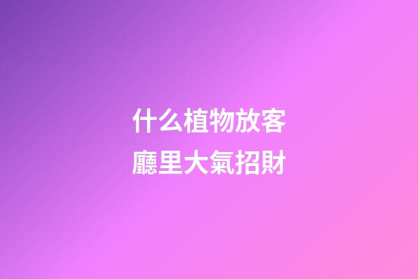 什么植物放客廳里大氣招財