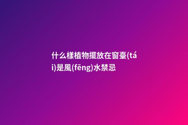 什么樣植物擺放在窗臺(tái)是風(fēng)水禁忌