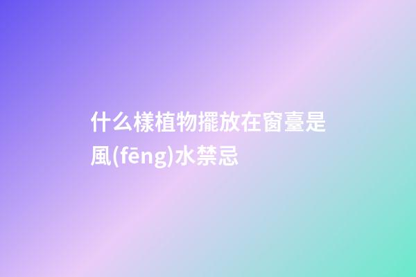 什么樣植物擺放在窗臺是風(fēng)水禁忌
