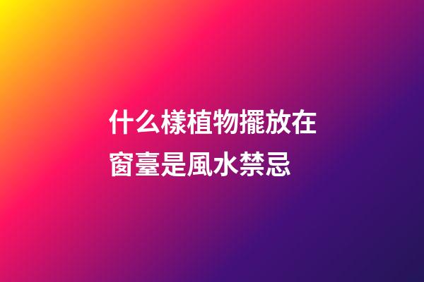 什么樣植物擺放在窗臺是風水禁忌