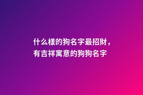 什么樣的狗名字最招財，有吉祥寓意的狗狗名字