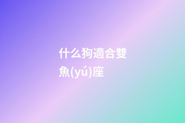 什么狗適合雙魚(yú)座