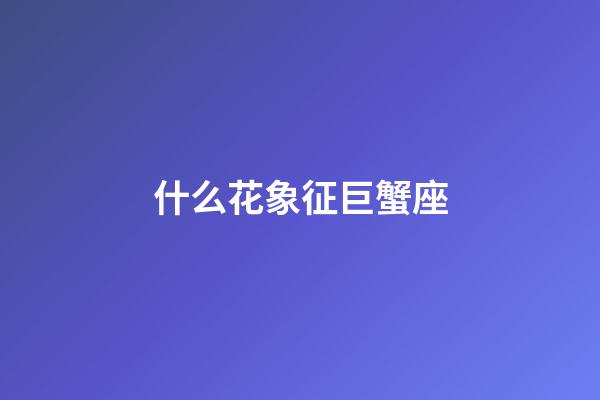 什么花象征巨蟹座