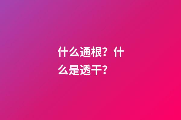 什么通根？什么是透干？