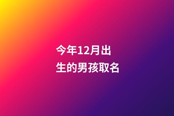今年12月出生的男孩取名(今年12月出生的男孩取名大全)-第1張-男孩起名-玄機派