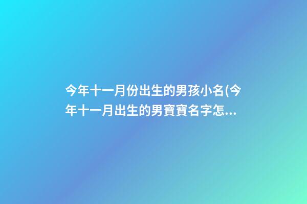 今年十一月份出生的男孩小名(今年十一月出生的男寶寶名字怎么起)
