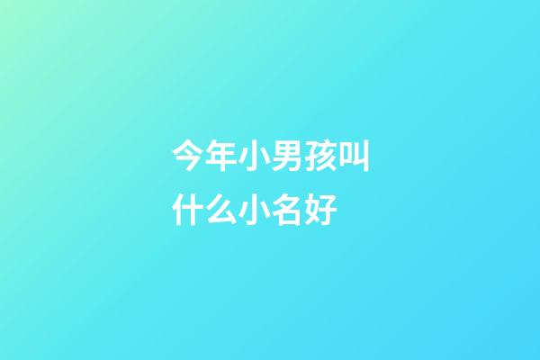 今年小男孩叫什么小名好(今年男孩小名叫什么好)-第1張-男孩起名-玄機派