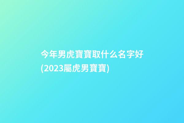 今年男虎寶寶取什么名字好(2023屬虎男寶寶)