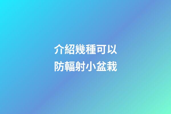 介紹幾種可以防輻射小盆栽