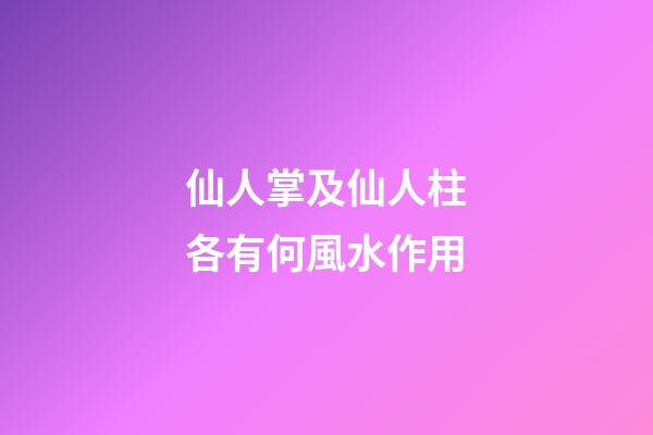 仙人掌及仙人柱各有何風水作用?