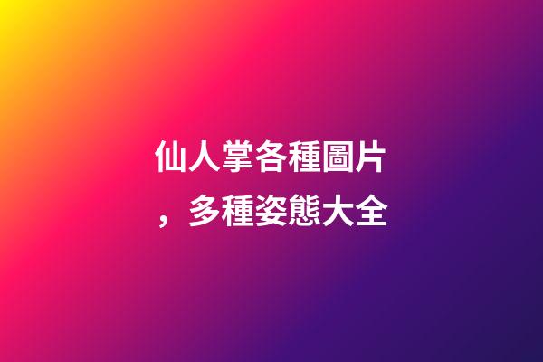 仙人掌各種圖片，多種姿態大全-第1張-觀點-玄機派