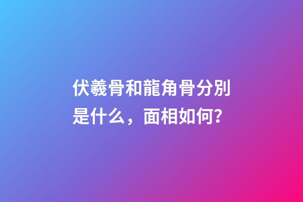 伏羲骨和龍角骨分別是什么，面相如何？