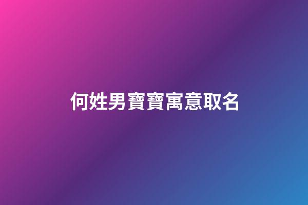 何姓男寶寶寓意取名(何姓男寶寶寓意取名洋氣)-第1張-男孩起名-玄機派