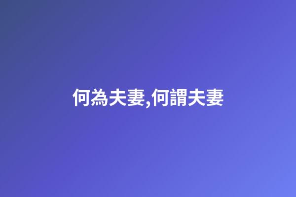 何為夫妻,何謂夫妻-第1張-觀點-玄機派