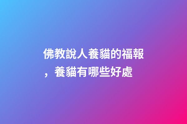 佛教說人養貓的福報，養貓有哪些好處