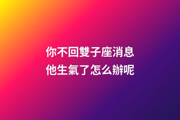 你不回雙子座消息他生氣了怎么辦呢-第1張-星座運(yùn)勢-玄機(jī)派
