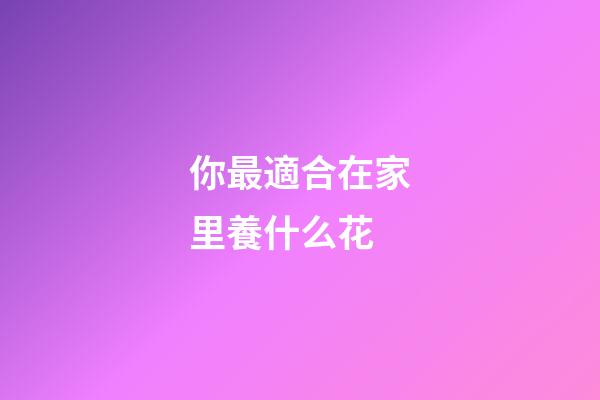 你最適合在家里養什么花