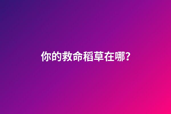 你的救命稻草在哪？