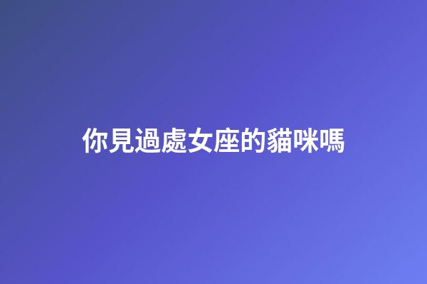 你見過處女座的貓咪嗎-第1張-星座運勢-玄機派