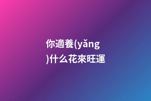 你適養(yǎng)什么花來旺運