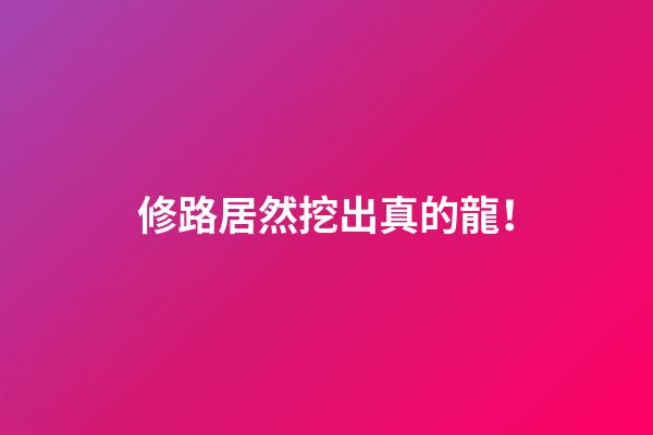 修路居然挖出真的龍！