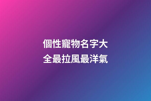 個性寵物名字大全最拉風最洋氣