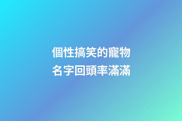 個性搞笑的寵物名字回頭率滿滿