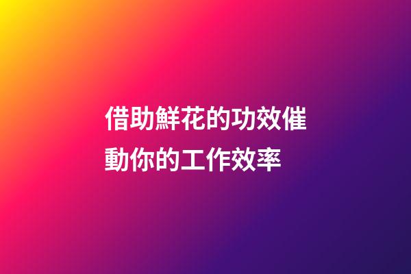 借助鮮花的功效催動你的工作效率