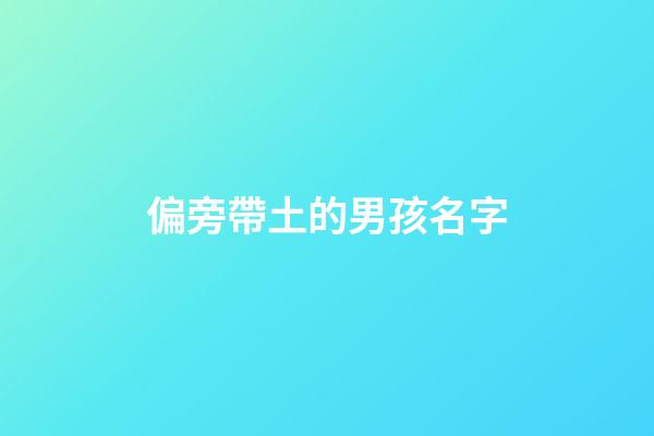 偏旁帶土的男孩名字(偏旁是土的字有哪些字男孩名)-第1張-男孩起名-玄機派