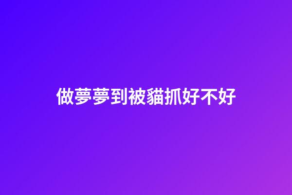 做夢夢到被貓抓好不好
