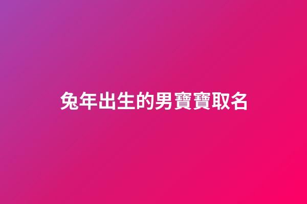兔年出生的男寶寶取名(兔年出生的男寶寶取名草字頭怎么取)-第1張-男孩起名-玄機(jī)派