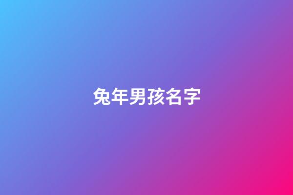 兔年男孩名字(兔年男孩名字大全)-第1張-男孩起名-玄機(jī)派