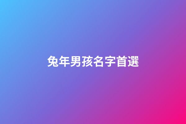 兔年男孩名字首選(2023年最旺男孩名字)-第1張-男孩起名-玄機派