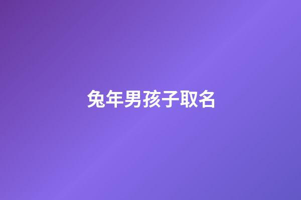 兔年男孩子取名(兔年男孩子取名字大全一個字)-第1張-男孩起名-玄機(jī)派