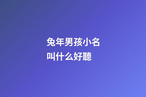 兔年男孩小名叫什么好聽(兔年男孩小名叫什么好聽點)-第1張-男孩起名-玄機派