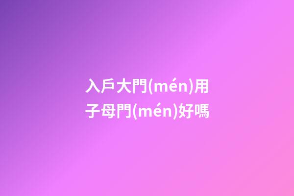 入戶大門(mén)用子母門(mén)好嗎