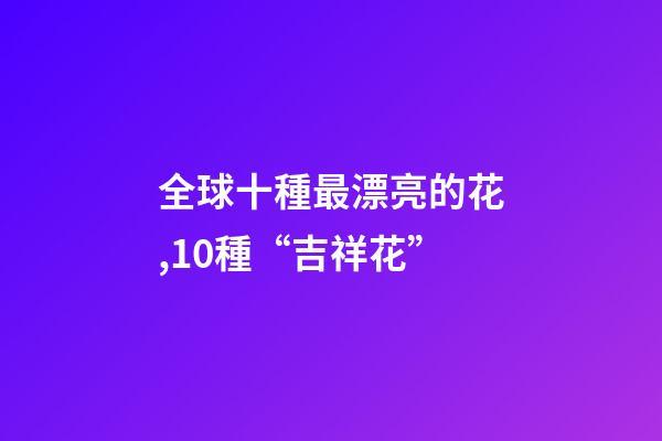 全球十種最漂亮的花,10種“吉祥花”-第1張-觀點(diǎn)-玄機(jī)派