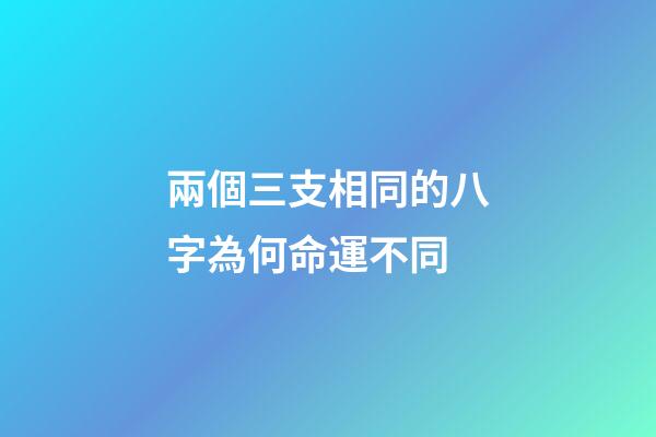 兩個三支相同的八字為何命運不同