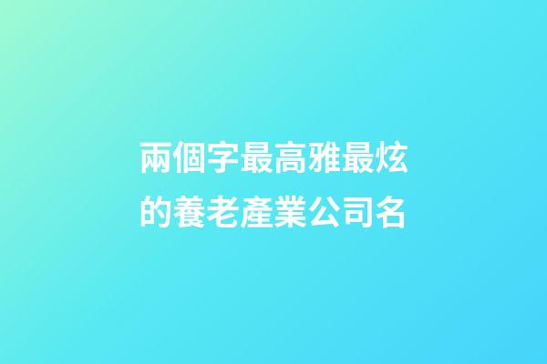 兩個字最高雅最炫的養老產業公司名