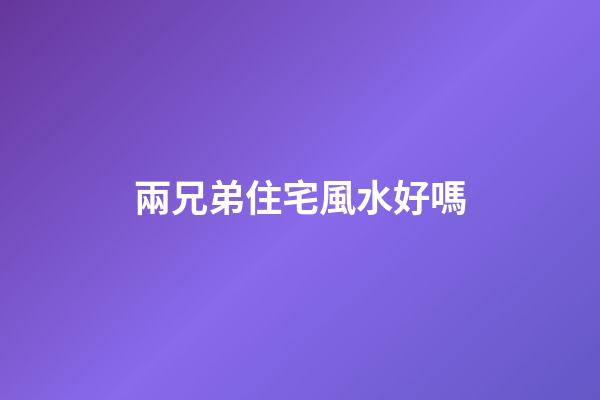 兩兄弟住宅風水好嗎