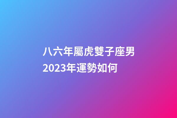八六年屬虎雙子座男2023年運勢如何-第1張-星座運勢-玄機派