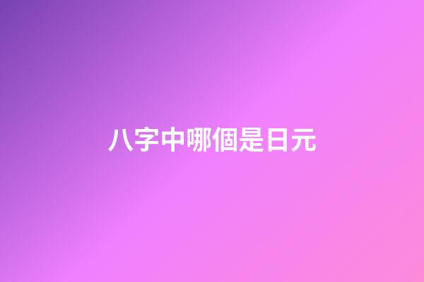 八字中哪個是日元