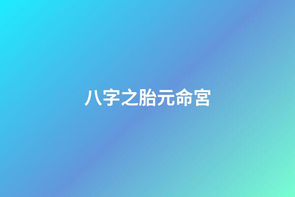 八字之胎元命宮